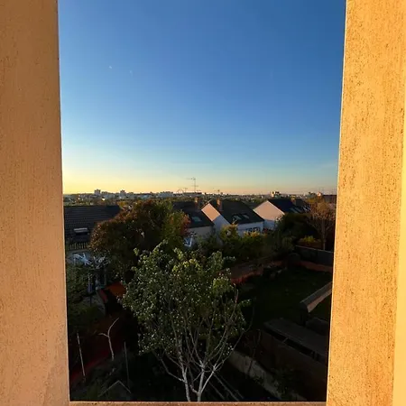 Pink Tropical Champagne 랭스