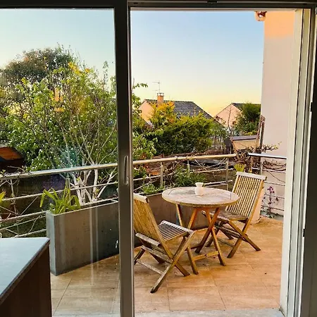 Pink Tropical Champagne * Reims