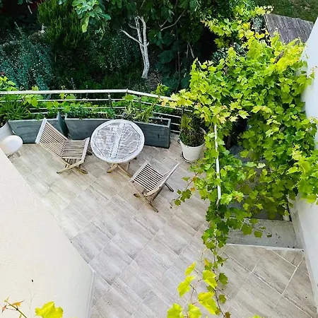 Pink Tropical Champagne