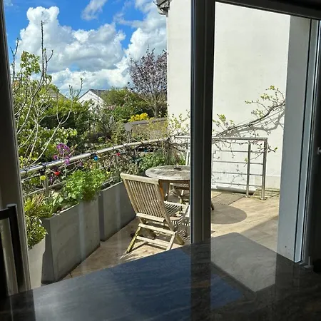 Pink Tropical Champagne * Reims