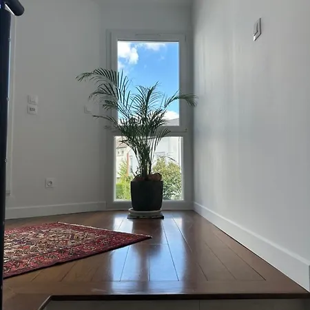 Pink Tropical Champagne Apartment