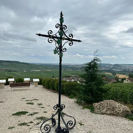 아파트 Pink Tropical Champagne