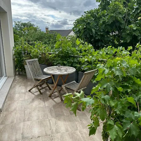 Pink Tropical Champagne *