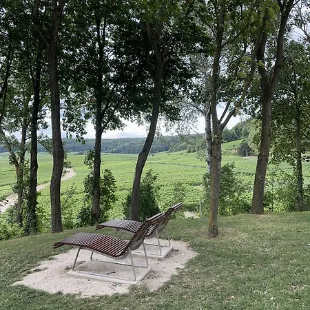 아파트 Pink Tropical Champagne 랭스