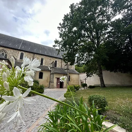 Pink Tropical Champagne Reims