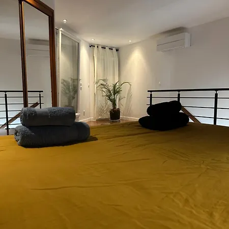 Pink Tropical Champagne 랭스