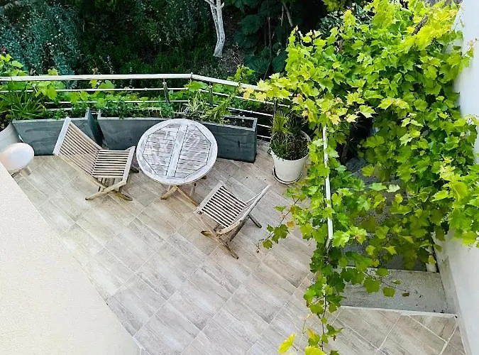 Pink Tropical Champagne