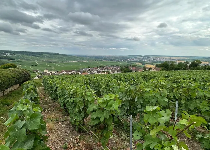 شقة Pink Tropical Champagne *