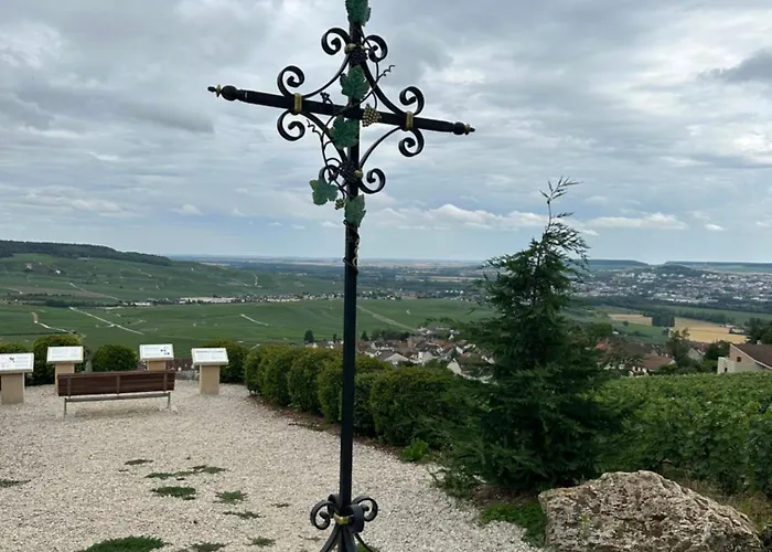 شقة Pink Tropical Champagne