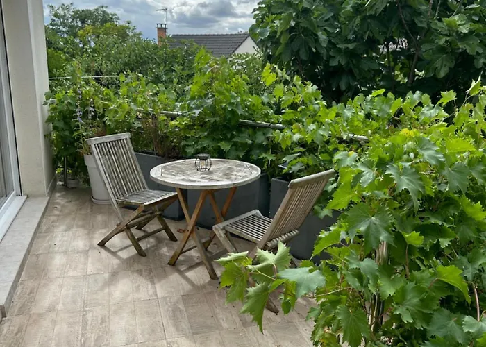 Pink Tropical Champagne *