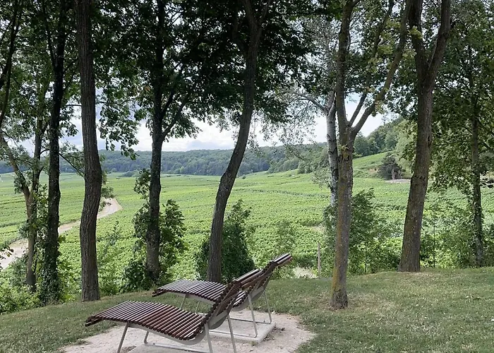 شقة Pink Tropical Champagne رانس