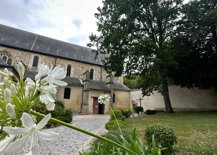 Pink Tropical Champagne رانس